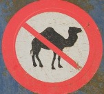 kamelen verboden