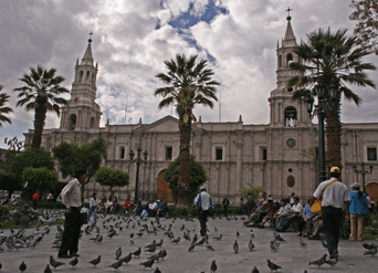 Plaza met duiven