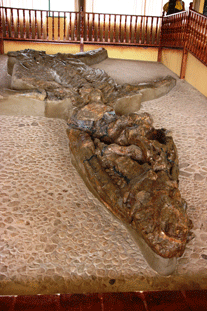 kronosaurus